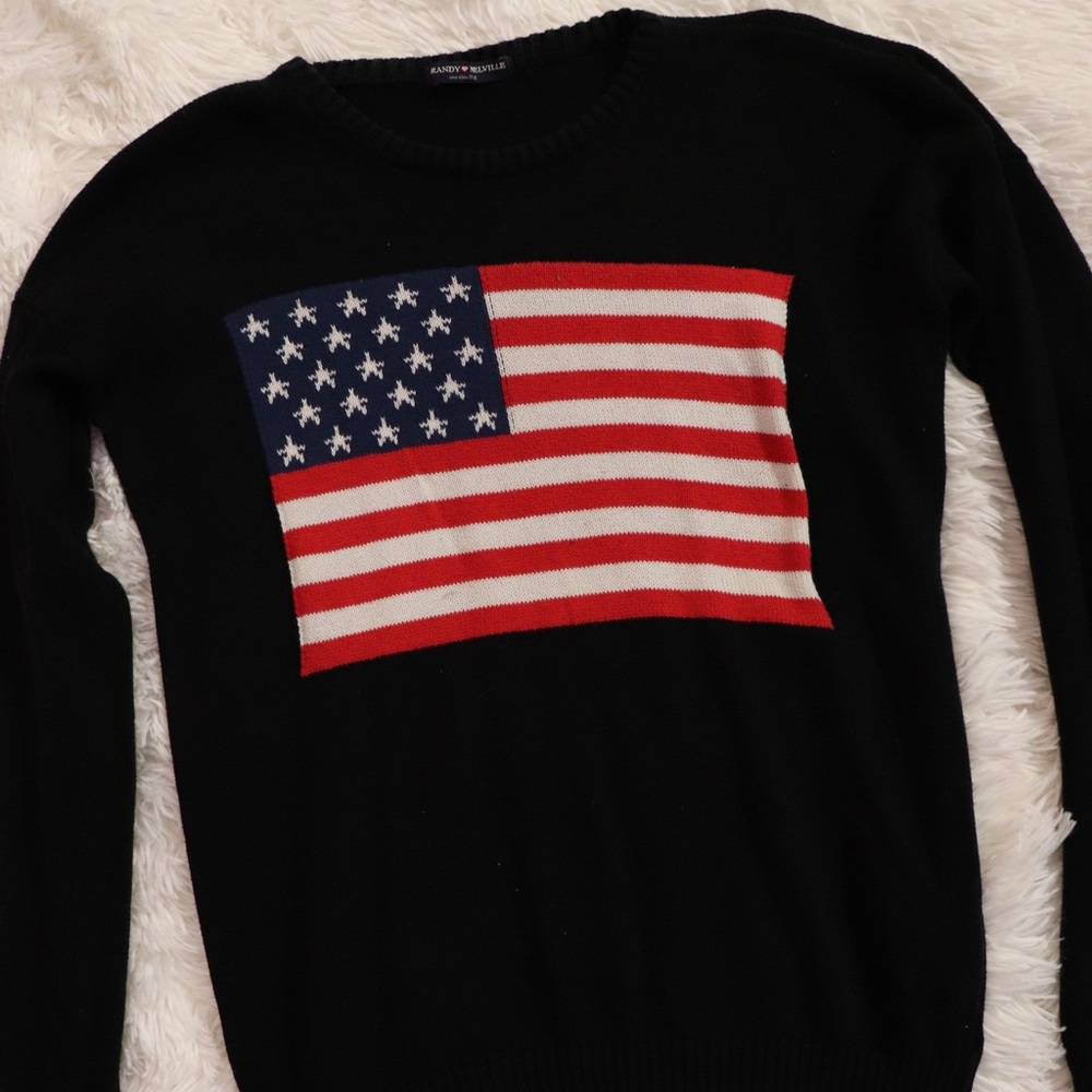Brandy Melville knit American flag sweater